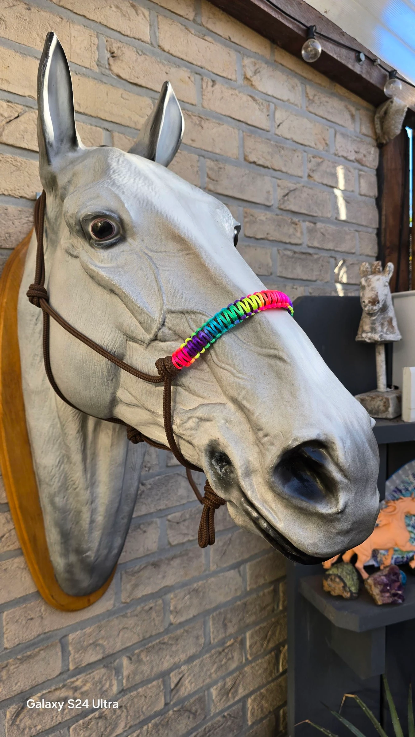 Licol en corde avec muserolle nouée aux couleurs arc-en-ciel – photo 7